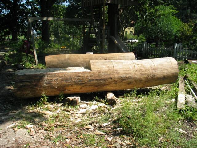 Making a Dugout Canoe