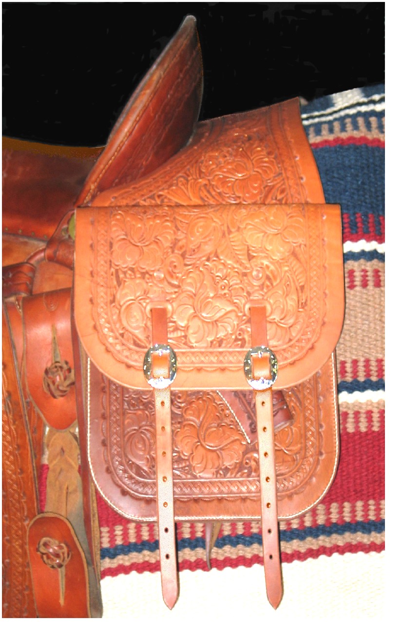 Double Strap Saddlebags